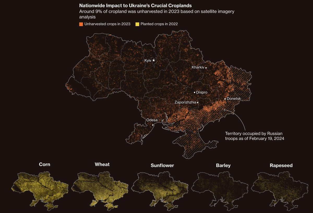 More and more farmers are being drafted in Ukraine. These amazing visuals show how Ukraine's economic backbone is at risk after two years of war and Russian occupation. by @mariepastora and @k3blu3 (first byline!) bloomberg.com/graphics/2024-…