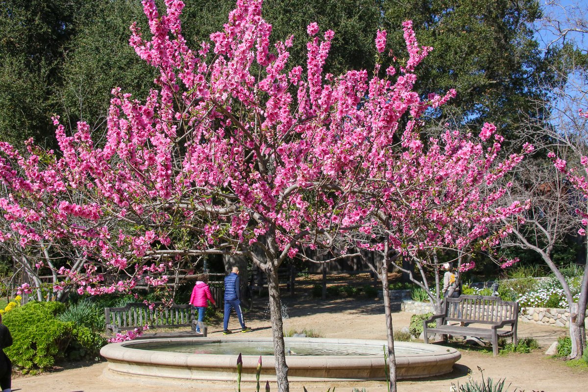 DescansoGardens tweet picture