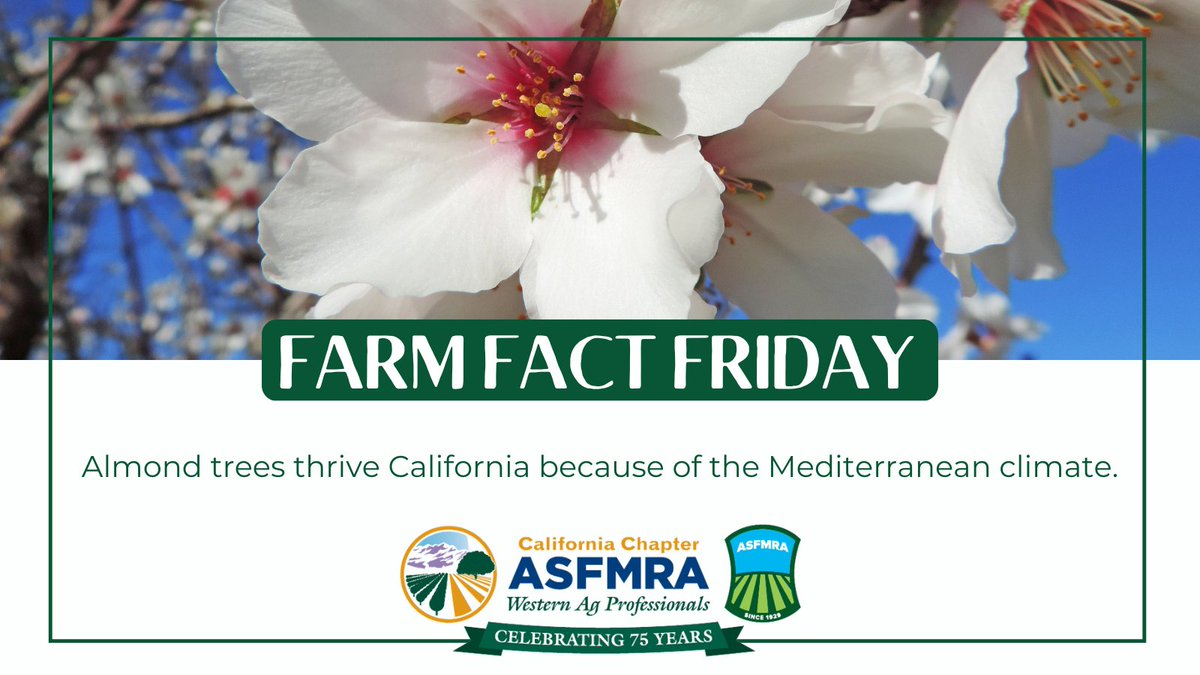 calasfmra's tweet photo. Did you know #Almonds can support #hearthealth and reducing blood pressure?
#calasfmra #asfmra #FarmFactFriday #almondfact #almondfarmer #almondblossom #AG #agriculture #agPRO https://t.co/MbRVEFBGF4