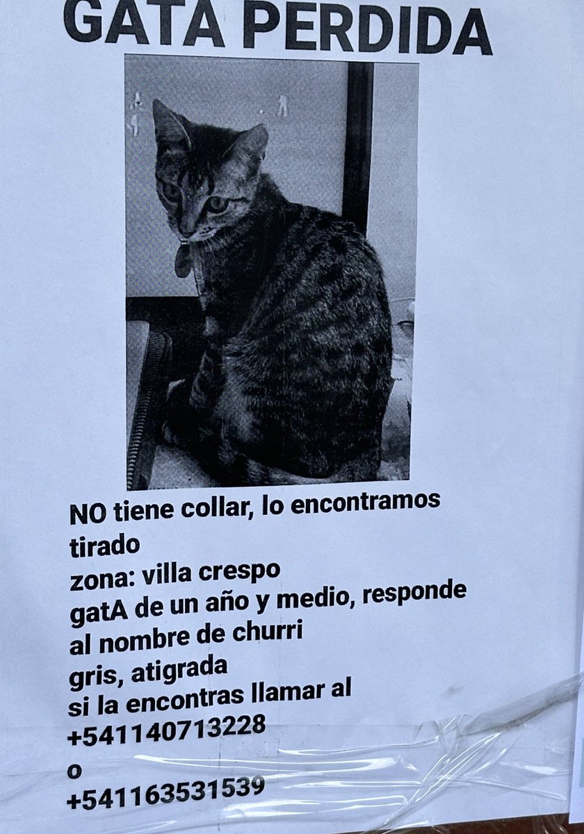 martincarrizo_'s tweet image. Si pueden compartir…
Pobrecita.