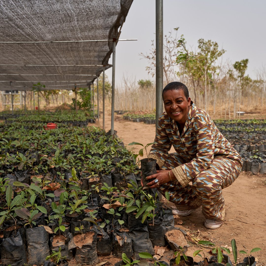 Reminder: Tomorrow, Sunday 3 March! 📣 Tune into #BBCR4 at 7.54 am or 9.25 pm to hear our patron and actor, Adjoa Andoh, talking about the incredible power of growing #trees and what it means for women across rural African drylands. More below 👇 treeaid.org/blogs-updates/…