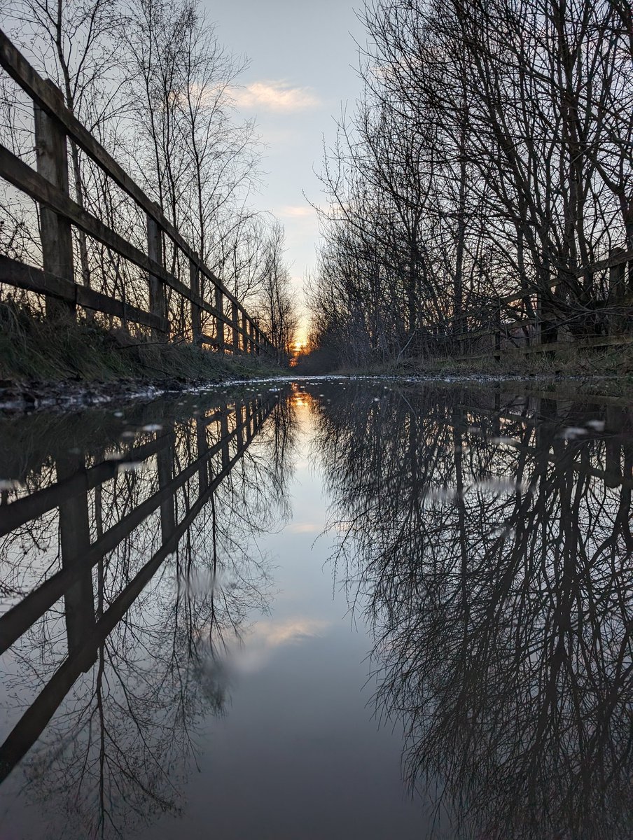 Crypto Cornucopia tweet media