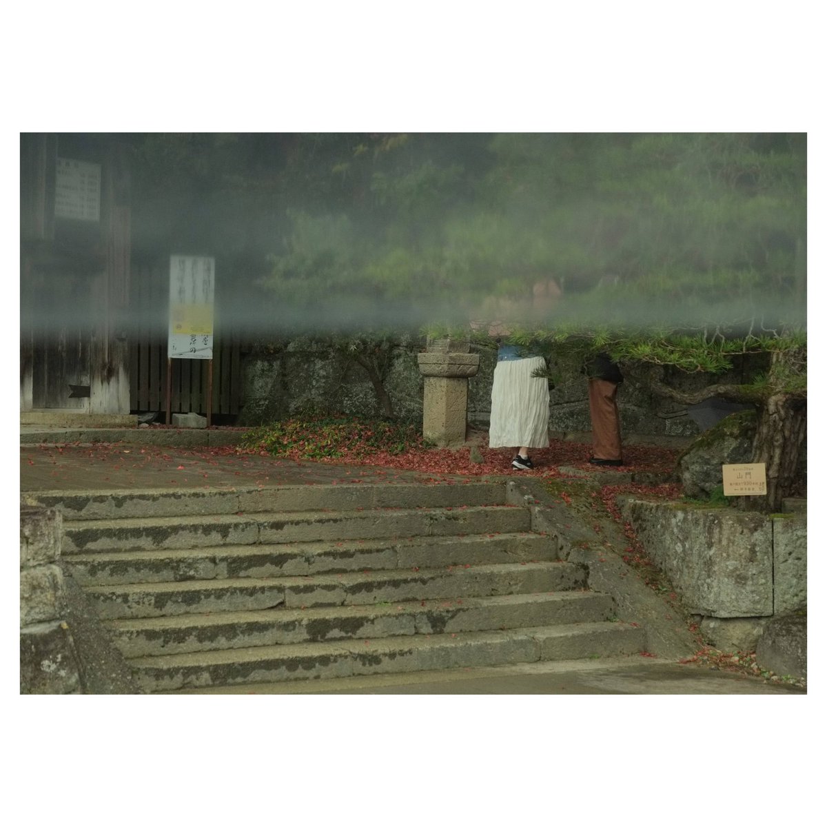 Nature Talk

----------------------

#fujifilm #fujifilm_us #fujifilm_japan #fujifilmxpro1 #photography #japan #japantrip #japanphotography #yamadera #travel #nature #temple #rain #umbrella #negativespace #saulleiterinspired #person #people #peoplephotography #candid