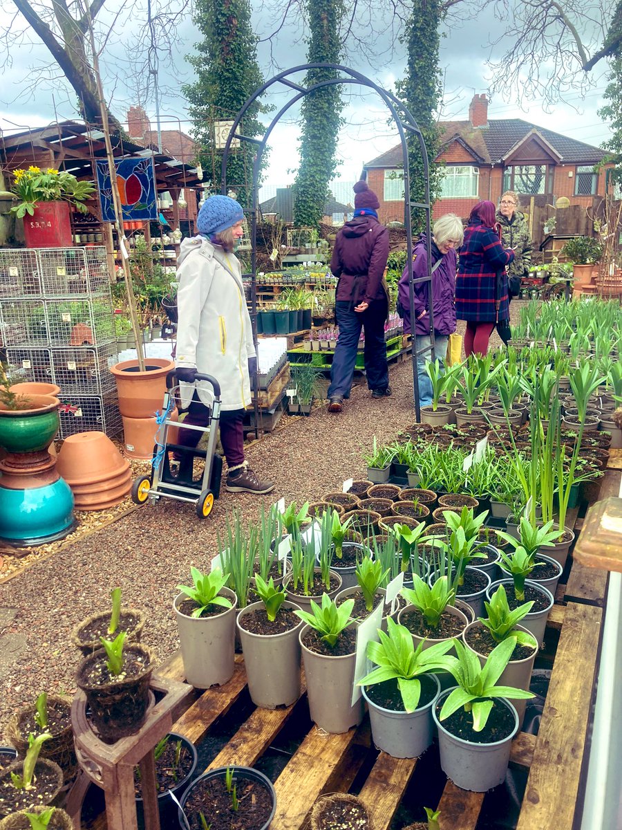 Bud Garden Centre tweet media