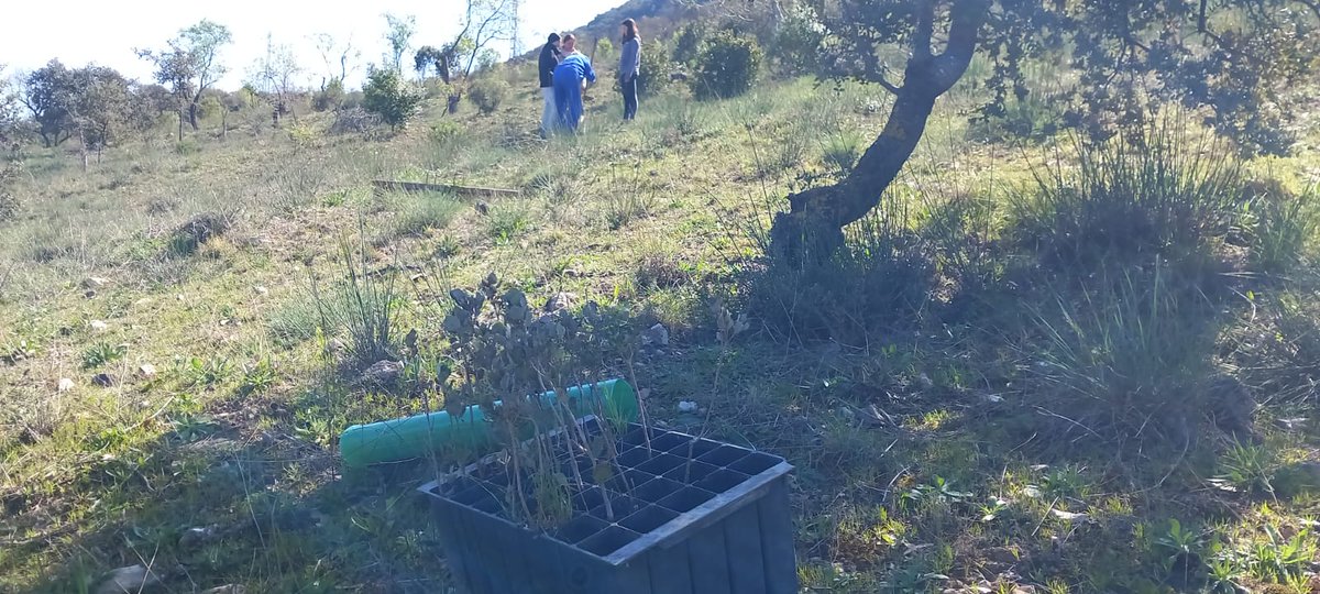 Plan_INFOCA's tweet photo. Tradicionalmente, la labor de #Plan_INFOCA en el #MedioNatural, estaba orientado hacia tres pilares: #Prevención, #Extinción y #Recuperación de las zonas afectadas por #IncendiosForestales. Hoy hemos tenido la suerte de trabajar, seguramente en el menos conocido de ellos… https://t.co/NMYYa88255