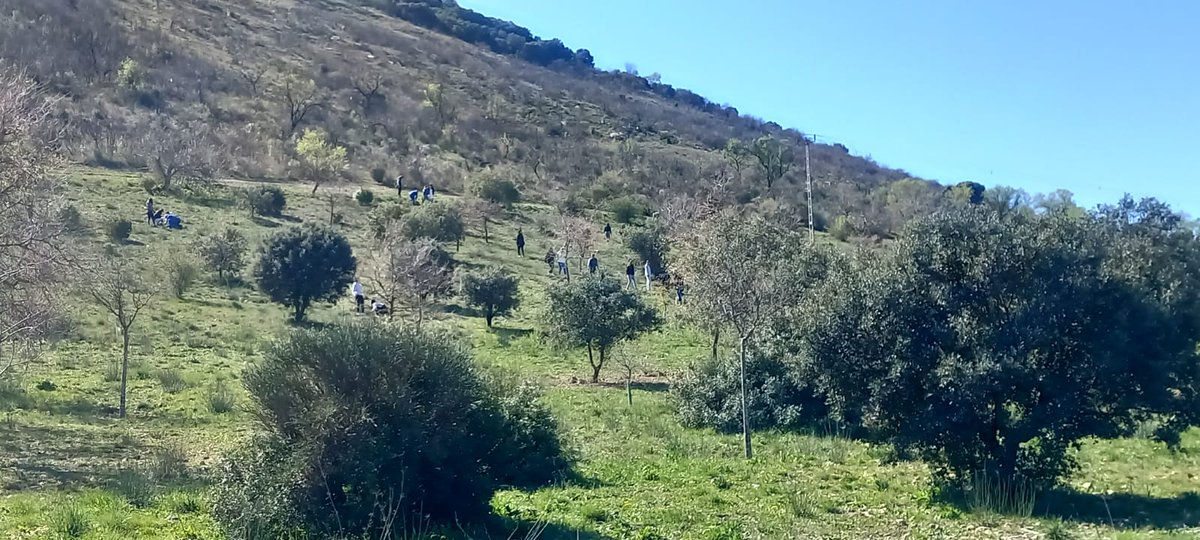 Plan_INFOCA's tweet photo. Tradicionalmente, la labor de #Plan_INFOCA en el #MedioNatural, estaba orientado hacia tres pilares: #Prevención, #Extinción y #Recuperación de las zonas afectadas por #IncendiosForestales. Hoy hemos tenido la suerte de trabajar, seguramente en el menos conocido de ellos… https://t.co/NMYYa88255