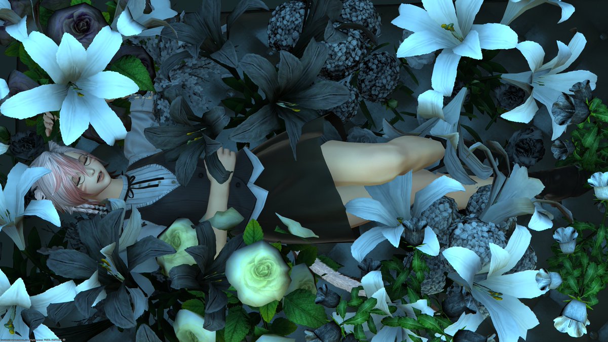 おはようございます！
『L_studio』さんでSSを撮ってきました。
寒色系の照明が良く似合う撮影ブースがいろいろあるスタジオさんです。
照明では明るさの調節は良くやってますけど、こちらのスタジオさんは色味の調節の勉強になりました。
#L_studio 
#おはミコ #ミコッテ #本日のミコッテ #FF14