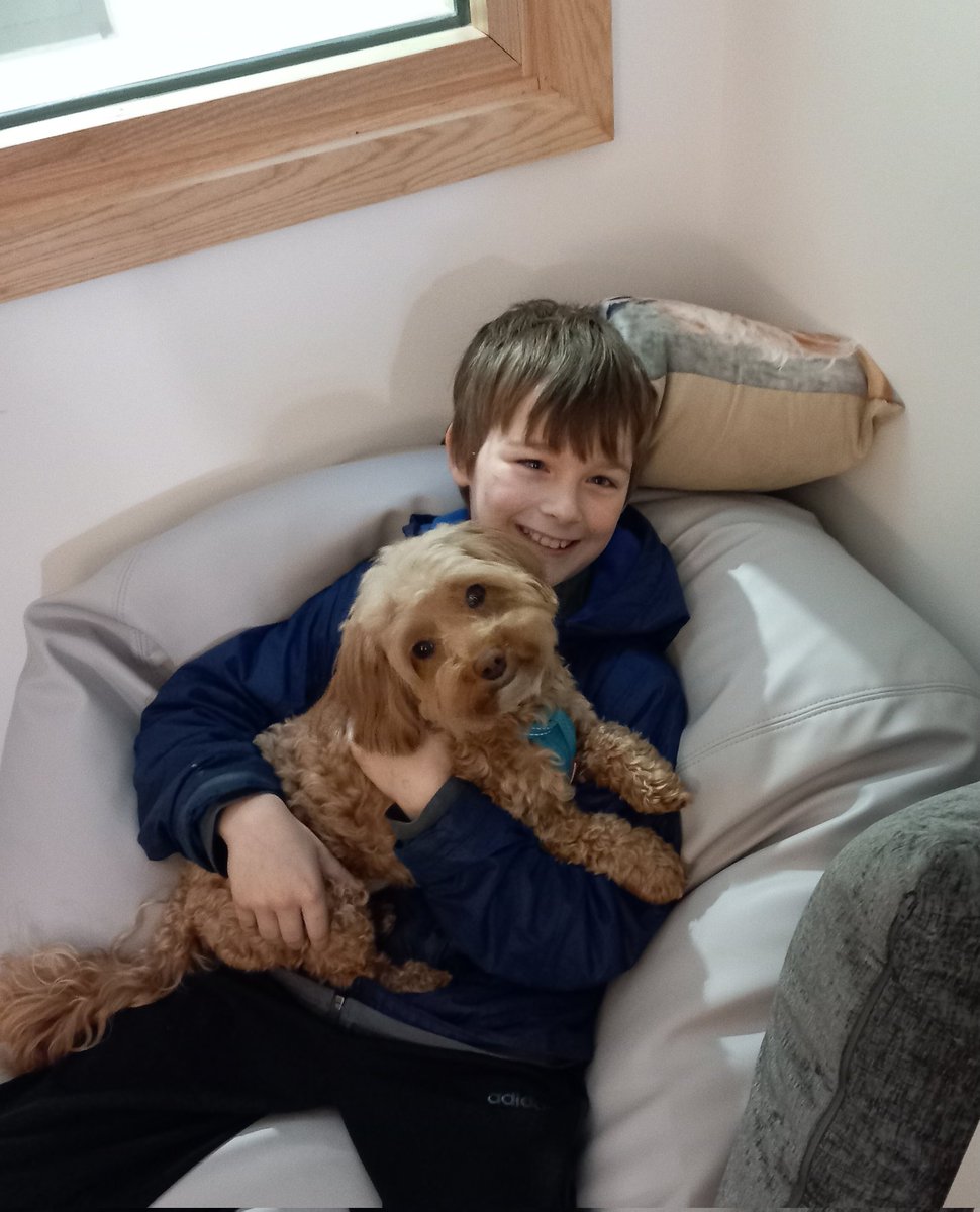 LittlestWookie's tweet photo. Another great week @Springwell_Lds South. I'm loving my regulation sessions with my friend J from Primary; they really help me to be calm and ready to learn. Happy weekend, everyone. https://t.co/CxYEe57qgv