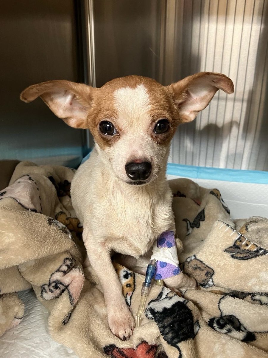 15/10 Foundation tweet media