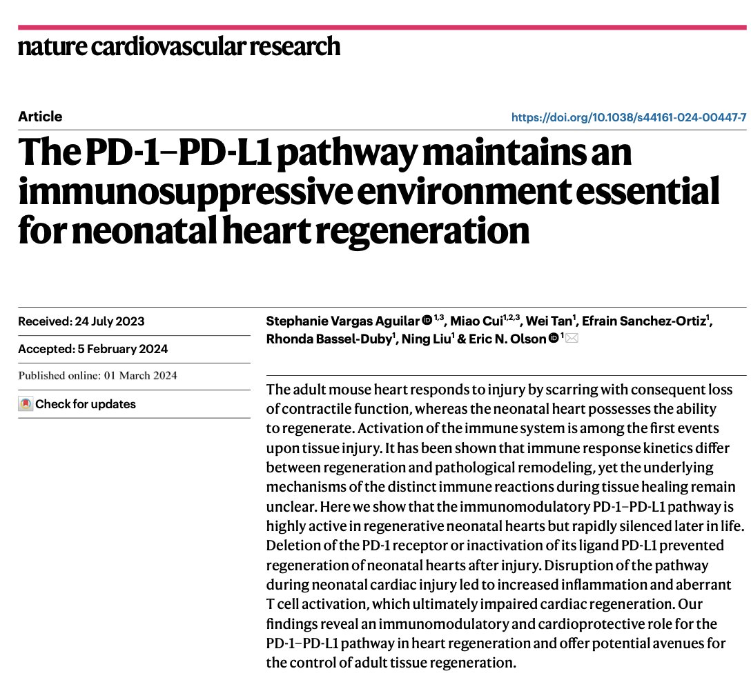 Extremely happy to share our latest work from the @Transactivator lab! We show that the immunosuppressive PD-1/PD-L1 pathway is active in neonatal mouse hearts and required for regeneration 🫀Huge thanks to co-author @MiaoCui_713 and all other authors! nature.com/articles/s4416…