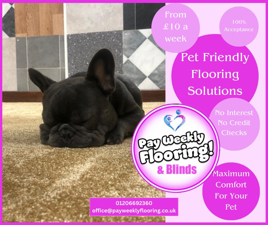 Step into comfort with our pet-friendly flooring solutions at Pay Weekly Flooring 🐾🏡 Transform your space with our durable Carpet range! 🐶🐱 
#PetFriendly #FlooringSolutions #HomeRenovation #CapetRange #ComfortableLiving #PayWeekly  #HomeDecor #FurryFriendsApproved