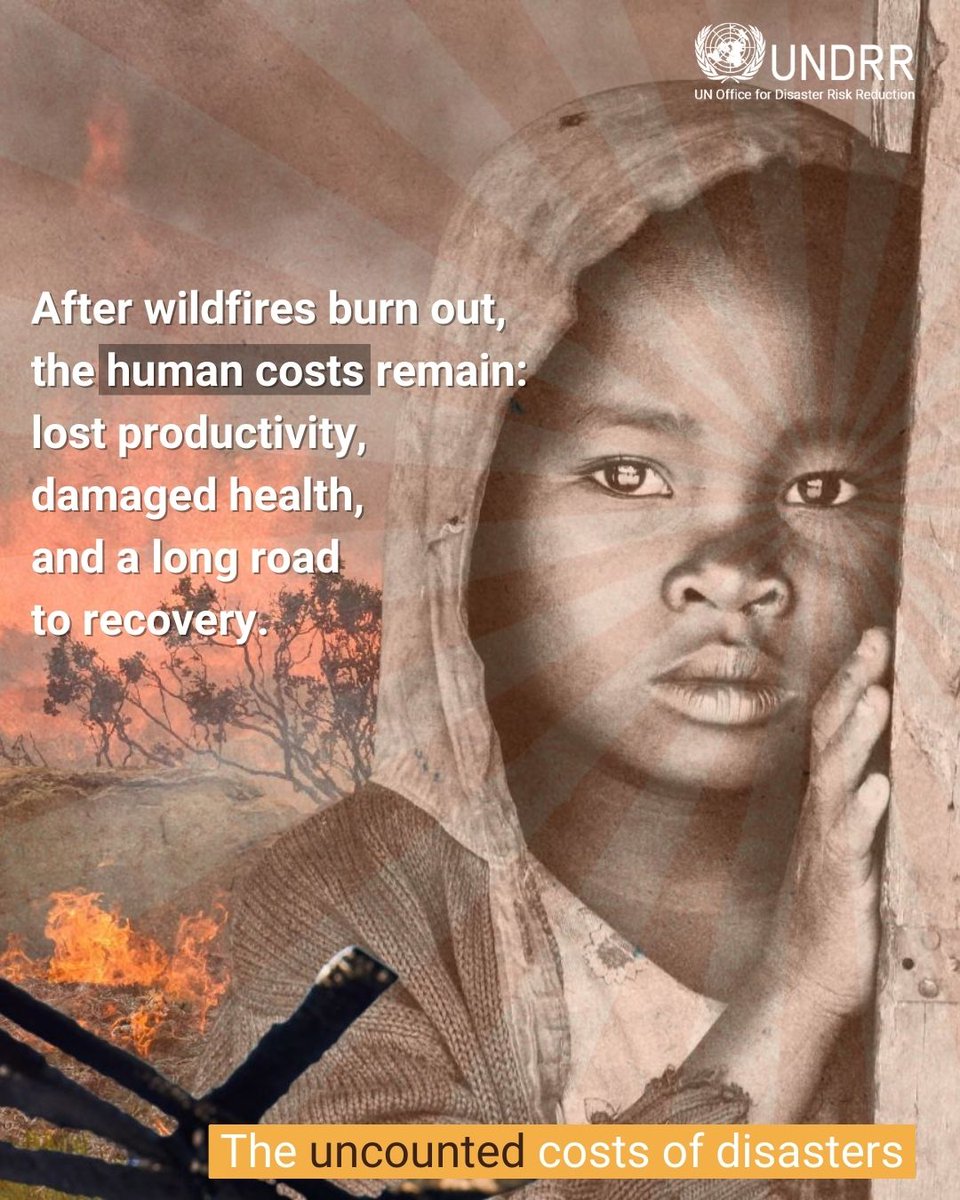 The countries most affected by wildfire in terms of percentage of land burned are all in Africa – led by Zambia (30%) and Angola (29%). The human costs are largely ignored in global financial loss estimates. Explore the uncounted costs of wildfires 👉 ow.ly/JXVJ50QImvS