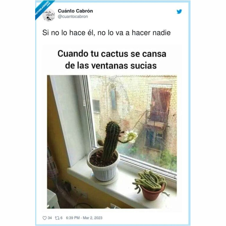 #AsistenciaEcológica #memes #memesdaily #memesgraciosos #memesespañol #cactus #cactusgarden #plantas #plantasdeinterior #Siguenos #SIGUENOSYCOMPARTE #siguenosenfacebook #SiguenosEnNuestrasRedesSociales #comenta #ComentaYComparte