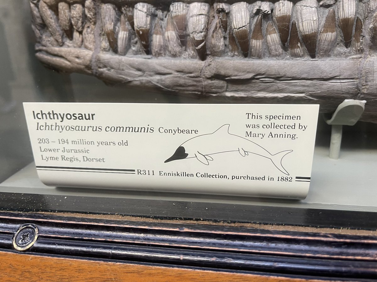 JackTamisiea tweet media