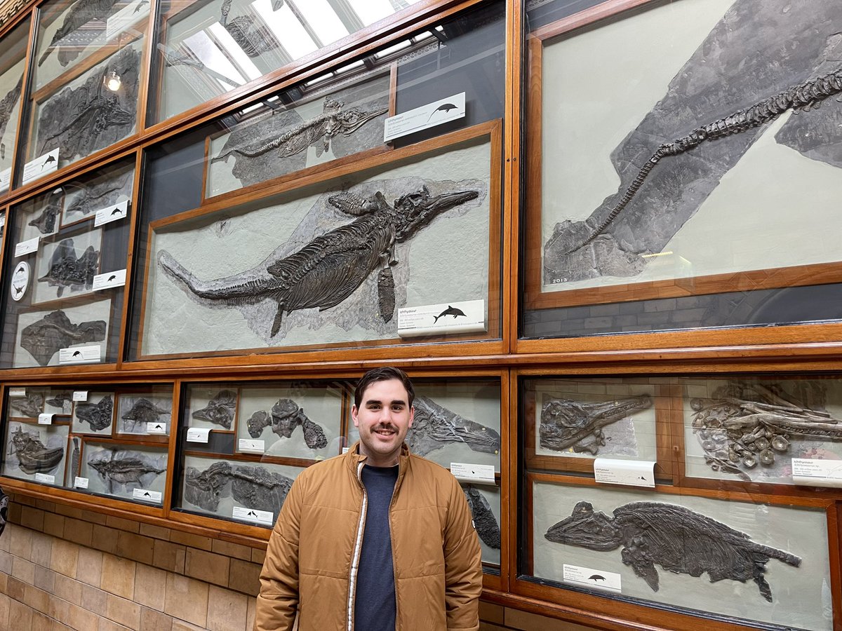 JackTamisiea tweet media