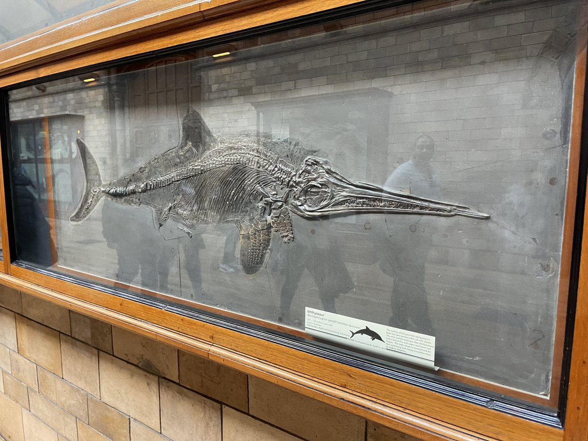 JackTamisiea tweet media