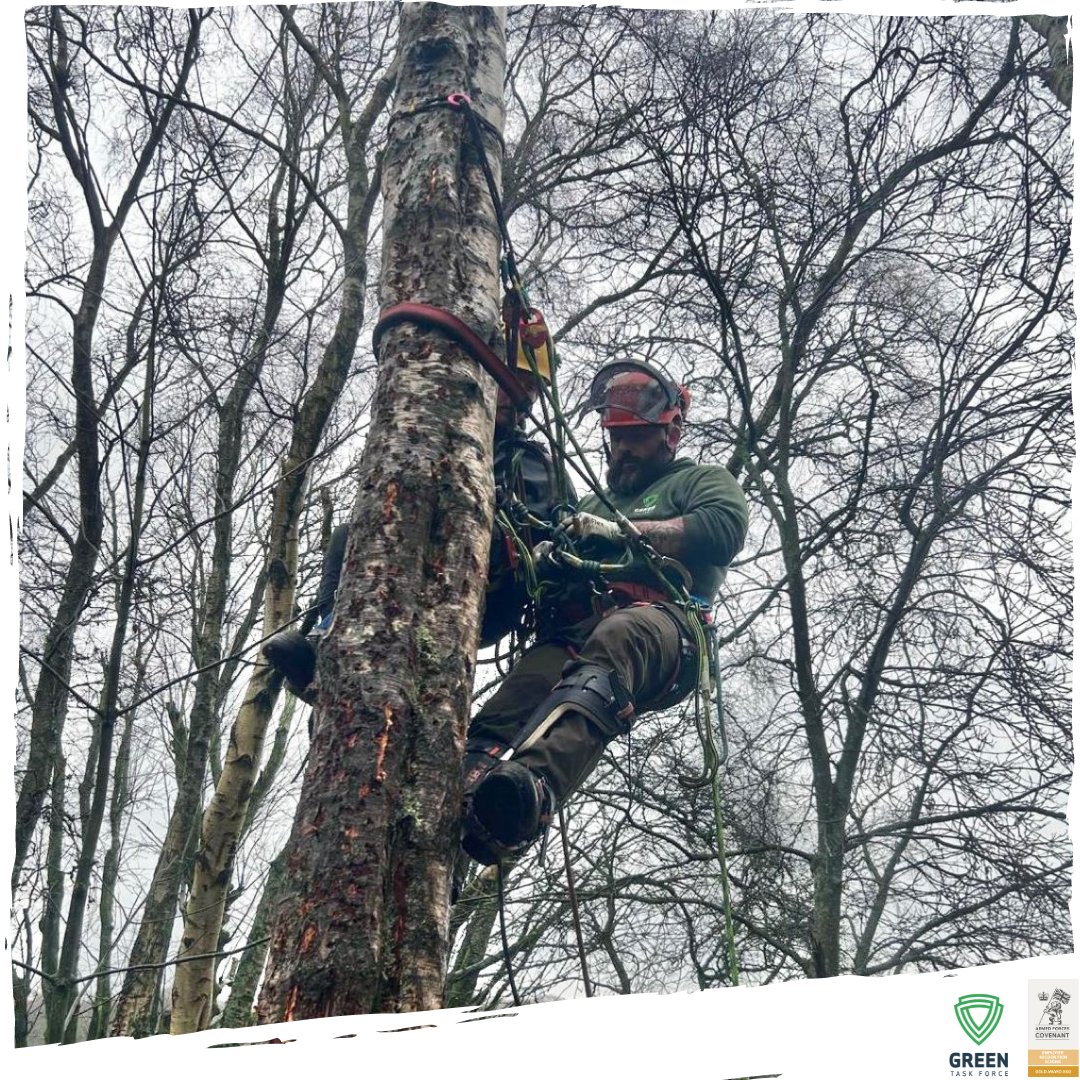 Veteran Rangers from #GreenTaskForce recently got to grips with the City & Guilds Aerial Access and Aerial Rescue course. Special thanks to One Ash Training for hosting a fantastic course and the #ForestryCommission Forestry and Arboriculture Training Fund