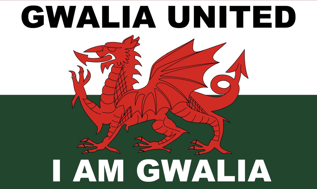 A new era is unfolding at Cardiff City Ladies. Rebranding to Gwalia United, beginning from the 24/25 season & ambitions of reaching the WSL within five years. Our Club, Our Nation, Our Story

Support this incredible club now…
 
#IamGwalia #BarclaysWSL #WSL #Wales #Cymru #Cardiff