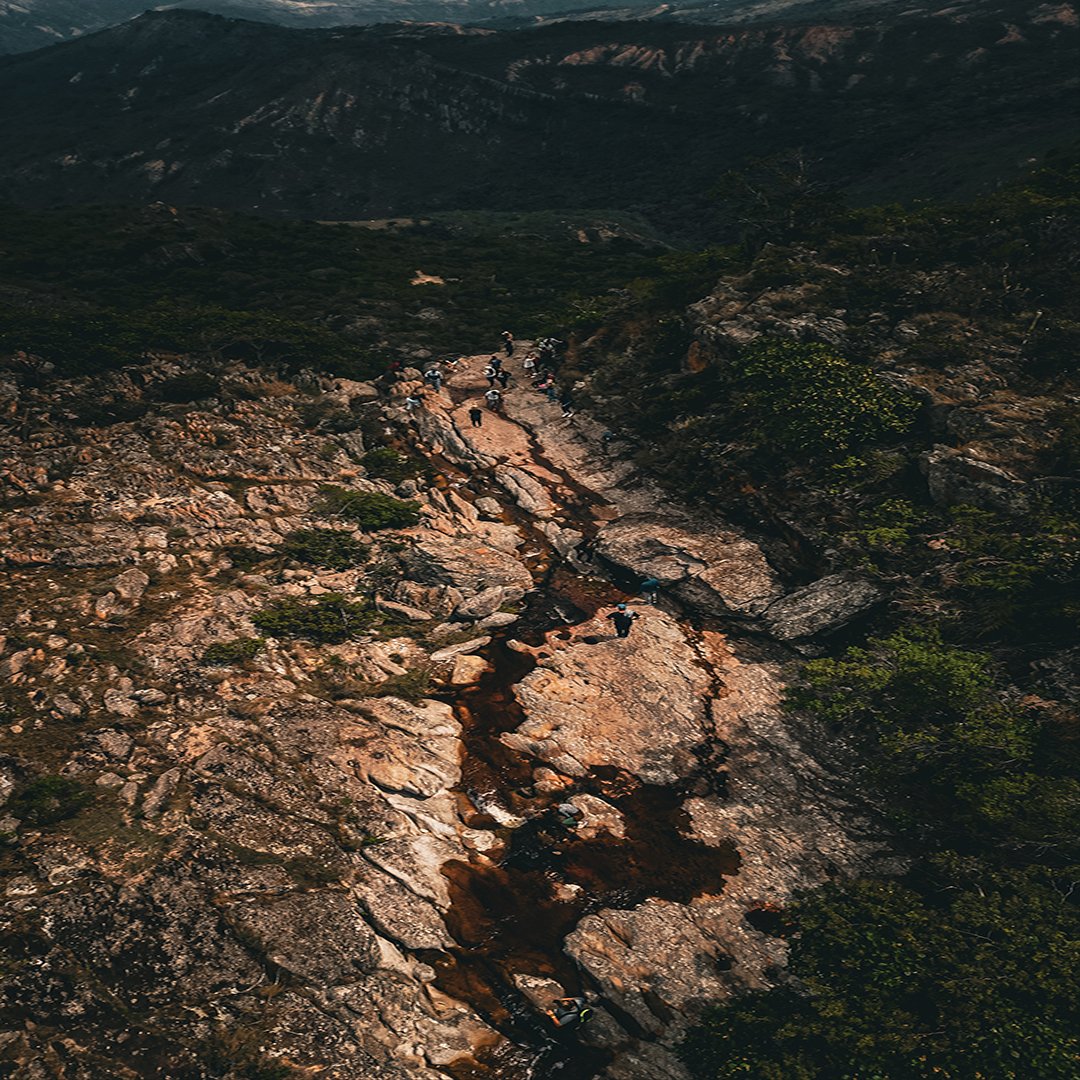 DronesLara tweet picture