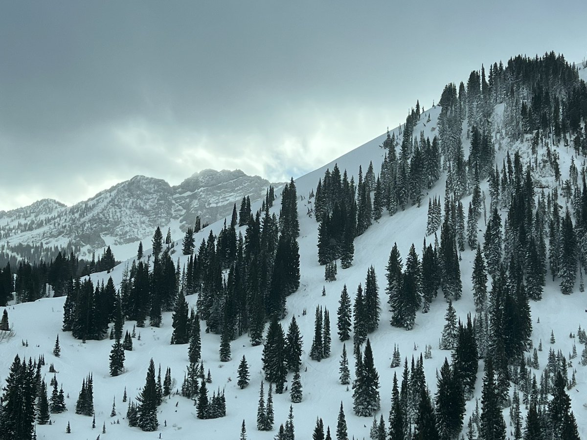 Interested in moving to Utah and working with our awesome #AntibioticStewardship Team? <a href="/UofUHealth/">University of Utah Health</a> is hiring! Please message me or apply below. <a href="/SIDPharm/">SIDP</a> <a href="/SHEA_Epi/">SHEA</a> <a href="/IDSAInfo/">IDSA</a> <a href="/foxerinr/">Erin Fox</a> <a href="/HannahImlay/">Hannah Imlay</a> <a href="/Mtns_N_Microbes/">Ali Earl</a> @pillsandskills employment.utah.edu/salt-lake-city…