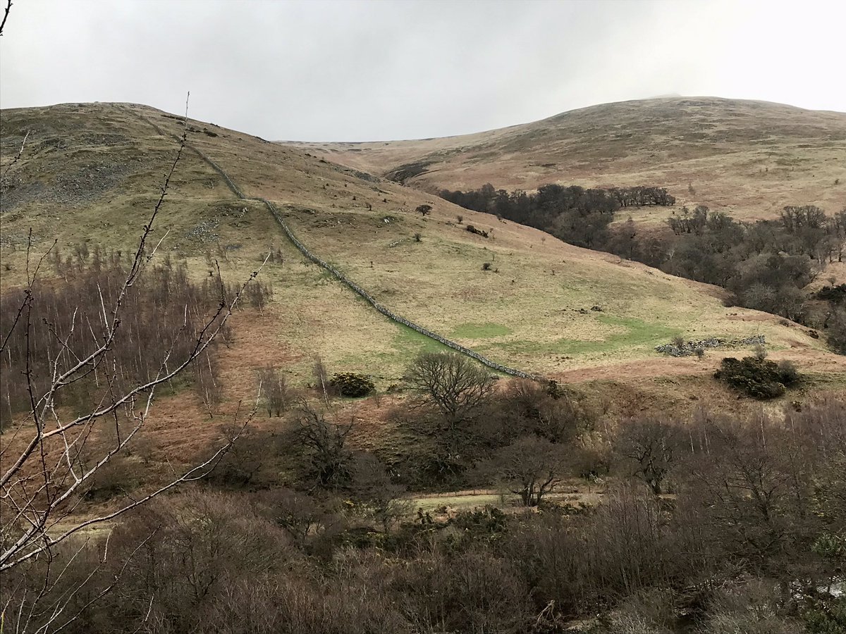 A walk up the College Valley towards the foreboding Cheviot then looping around to a very remote farm, Trowupburn before heading back to Hethpool. Take a moment to marvel at the drystone wall (pic 4) clinging all the way up Newton Tors! #Northumberland