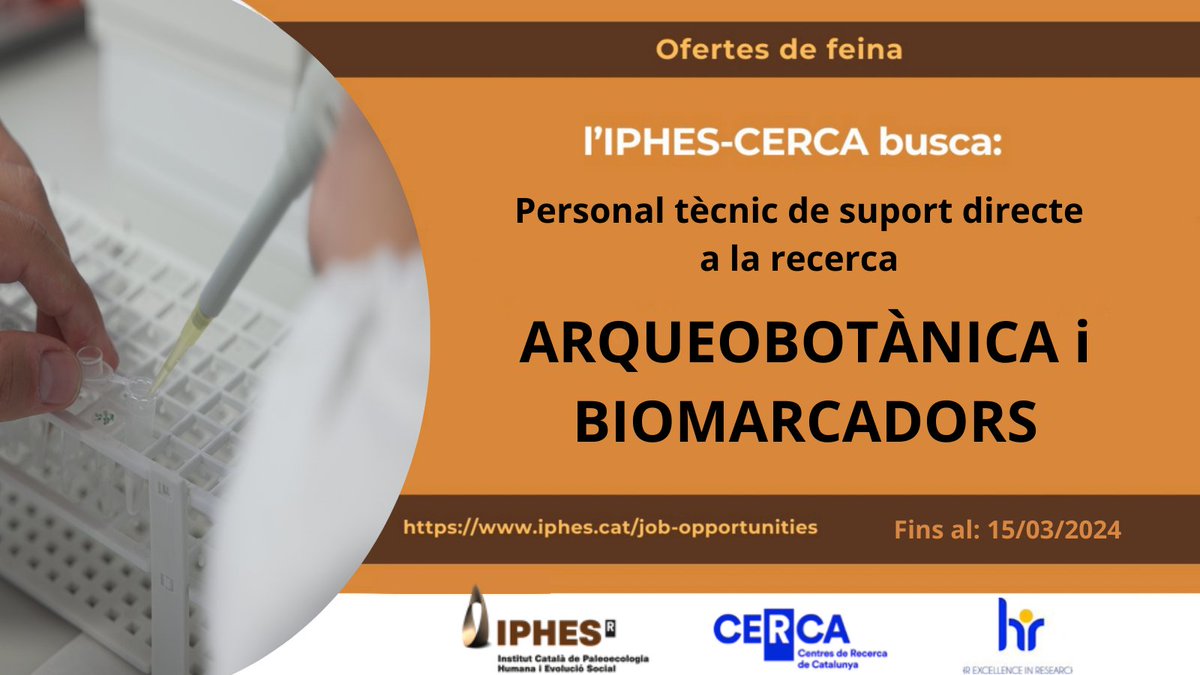 IPHES-CERCA (@iphes) on Twitter photo 🚨 NEW #jobopportunity 🚨 L'<a href="/iphes/">IPHES-CERCA</a> busca personal tècnic de suport directe a la recerca als laboratoris d'#Arqueobotànica i #Biomarcadors
🔗 Tota la info: bit.ly/42ZVbvK 🚨 NEW #jobopportunity 🚨 L'<a href="/iphes/">IPHES-CERCA</a> busca personal tècnic de suport directe a la recerca als laboratoris d'#Arqueobotànica i #Biomarcadors
🔗 Tota la info: bit.ly/42ZVbvK