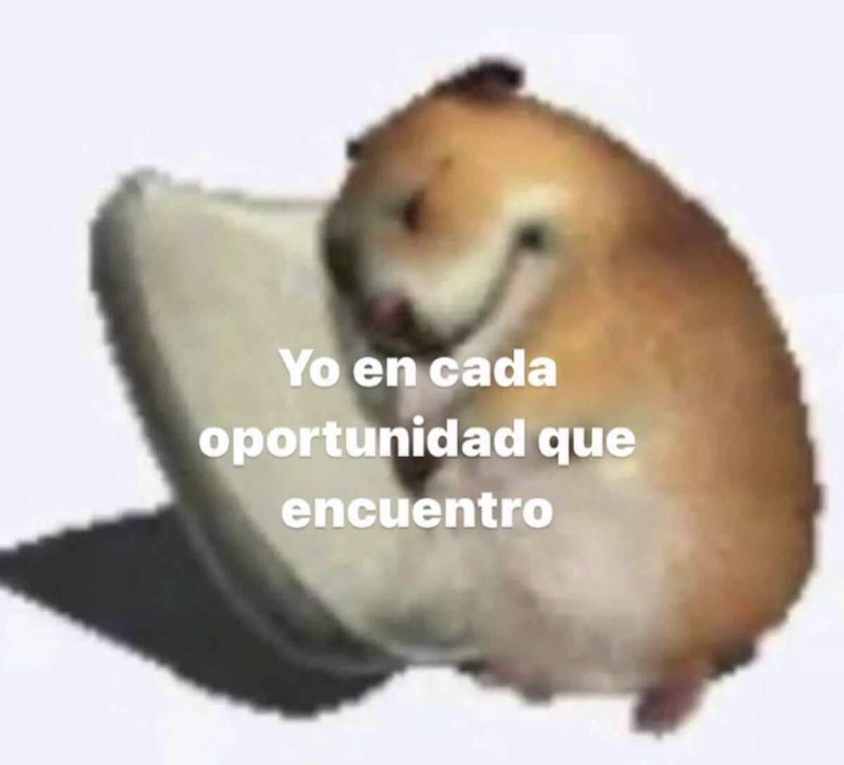 triste y con ganas de morirme ☹︎ (@cxrrly) on Twitter photo 