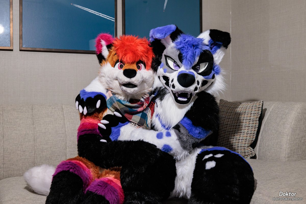 Check out this fox and I this #FursuitFriday ✨🦊🐶✨ 📸: @DoktorTheHusky