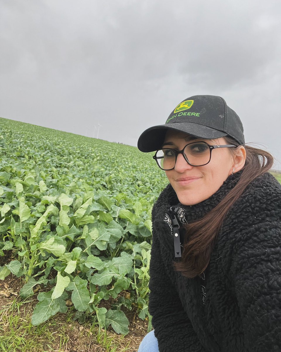 Retour sur la ferme le colza a bien profité ! ☺️✅