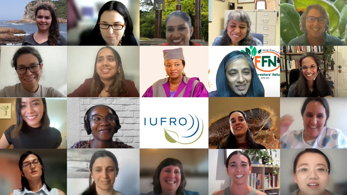 Our webinar series celebrating the International Day of Women and Girls in Science is now available on YouTube!🥳 🐛🌳🍄🌲🎦👀

youtube.com/watch?v=0kfRIA…

#WomenInScience #womeninSTEM #foresthealth #entomology #pathology #climatechange #invasivespecies