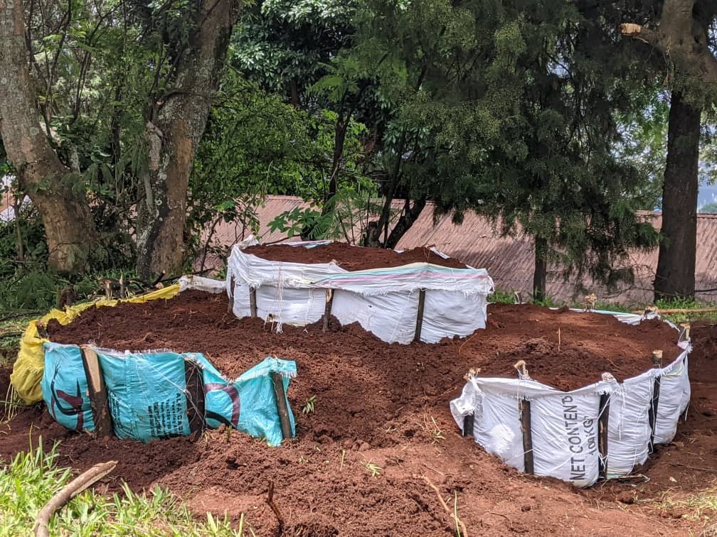 RYVCP_Kamembe's tweet photo. None #RYVCP_Kamembe twiriwe mu bikorwa bya #HumanSecurityIssues, aho twakomeje ibikorwa byo kubaka imirima w'igikoni y'ikitegererezo ku Bigo Nderabuzima duhereye ku cya #MontCyanguguHC mu rwego rwo kurwanya igwingira n'imirire mibi mu bana bato!
@RwandaLocalGov
#Tujyanemo✊🏽🇷🇼 https://t.co/Elgcrok6St