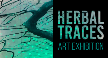 OzunaLibrary's tweet photo. Herbal Traces: Medicinal Plants of South-Central Texas by artist and PAC Instructor Sabra Booth is on exhibit in the Ozuna Library (2nd floor). The exhibit will be opened with a reception on March 1, 5 - 7 pm, and  will be on display until August 9. See https://t.co/tw702WfaWG https://t.co/hHcCdufN1r