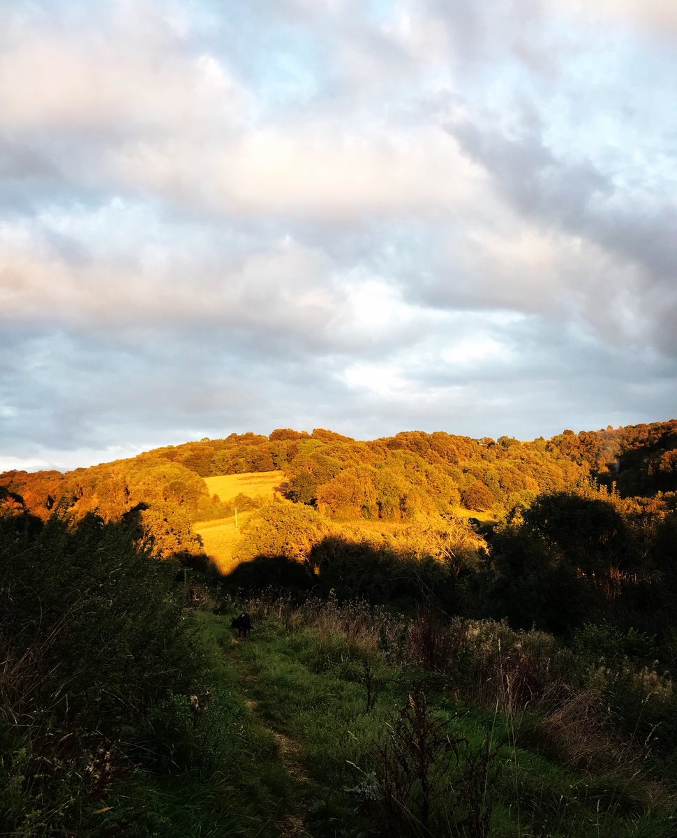 A large part of the valleys behind my house known as ‘The Heavens’ is going up for sale this month. It’s a secret and beautiful place, right on the edge of town, used and loved by the whole community. There are footpaths, but it’s currently privately owned - access can change