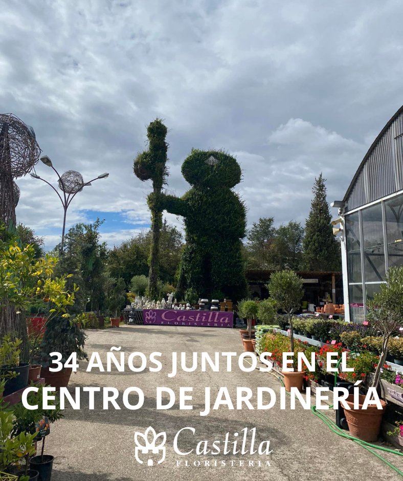 ¡Estamos de celebración!
Un día como hoy pero hace 34 años abrimos nuestro Centro Jardinería Castilla Floristería
¡Todo es posible por vosotros y por nuestro gran equipo!
¡Muchas gracias por vuestra confianza, y a por muchos años más juntos!
#Burgos #jardineria #aniversario