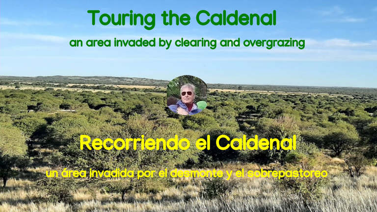 belmaxhugo's tweet photo. Recorriendo el Caldenal una zona invadida por claros y sobrepastoreo. ardiendo y sobrepastoreo. https://t.co/Oked7NFfX6 https://t.co/6VnldoW77m