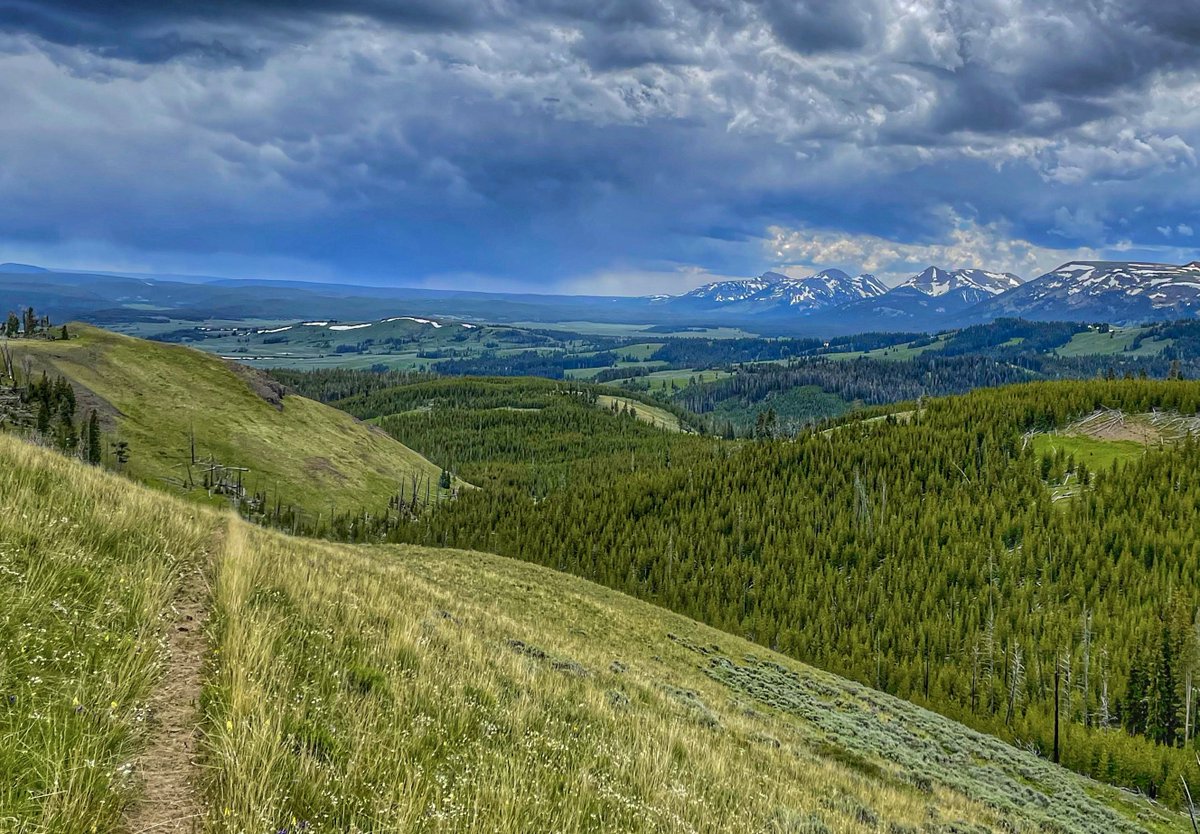 In news that doesn’t come as a shock to me, zero of my submitted images were selected for the 2025 Yellowstone Forever calendar. 🤷‍♂️