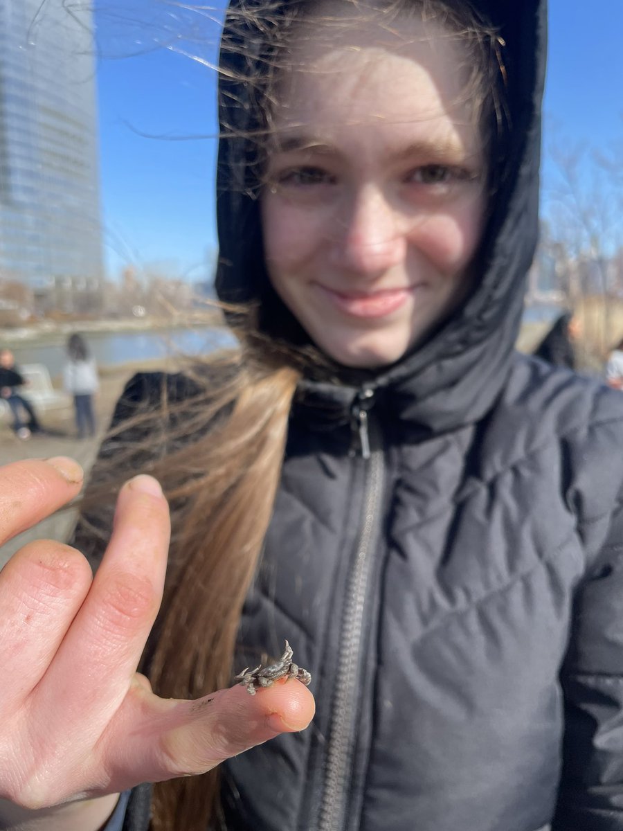 Skyscrapers and science! #datacollection #riverkeepers #STEMEducation <a href="/HMSJC/">Hudson Montessori JC</a>
