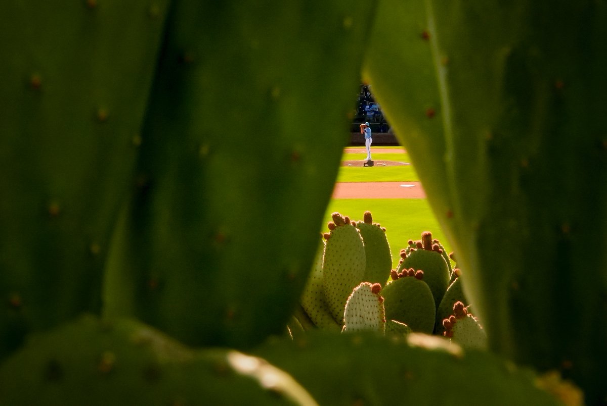 Kansas City #Royals relief pitcher Jake Brentz prepares to throw during the eighth inning of a spring training baseball game against the Oakland #Athletics, Friday, March 1, 2024, in Surprise, Ariz. (@AP Photo/Lindsey Wasson)