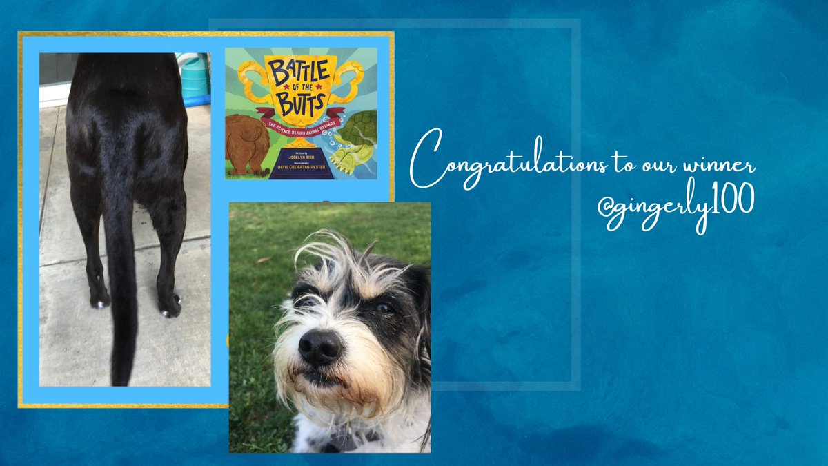 Congratulations to Gingerly, winner of our book giveaway. Our furry friend will be donating Battle of the Butts to her mum who is a teacher.