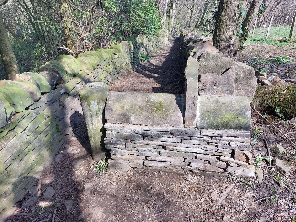 Aut Faciam tweet media