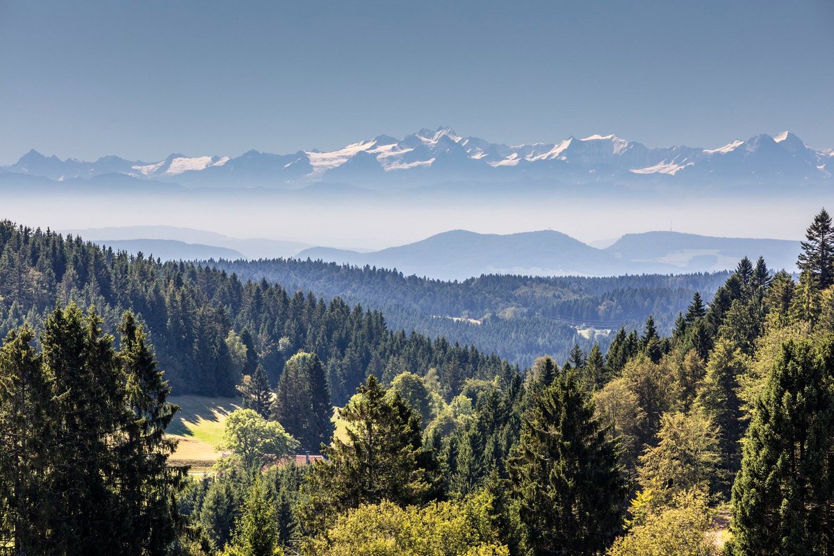 StrobelErich's tweet photo. #Alemannisch ist ein wunderschöner Dialekt und der #Hotzenwald eine wunderschöne Landschaft mit einer sehr bewegten Geschichte seit der Bauernkriege durch die #Salpeterer. 💪 "Wir sind freie, keiner Obrigkeit unterthane Bauernsleut auf dem #Hotzenwald." ..👍🥰 https://t.co/XkaIezOYCX