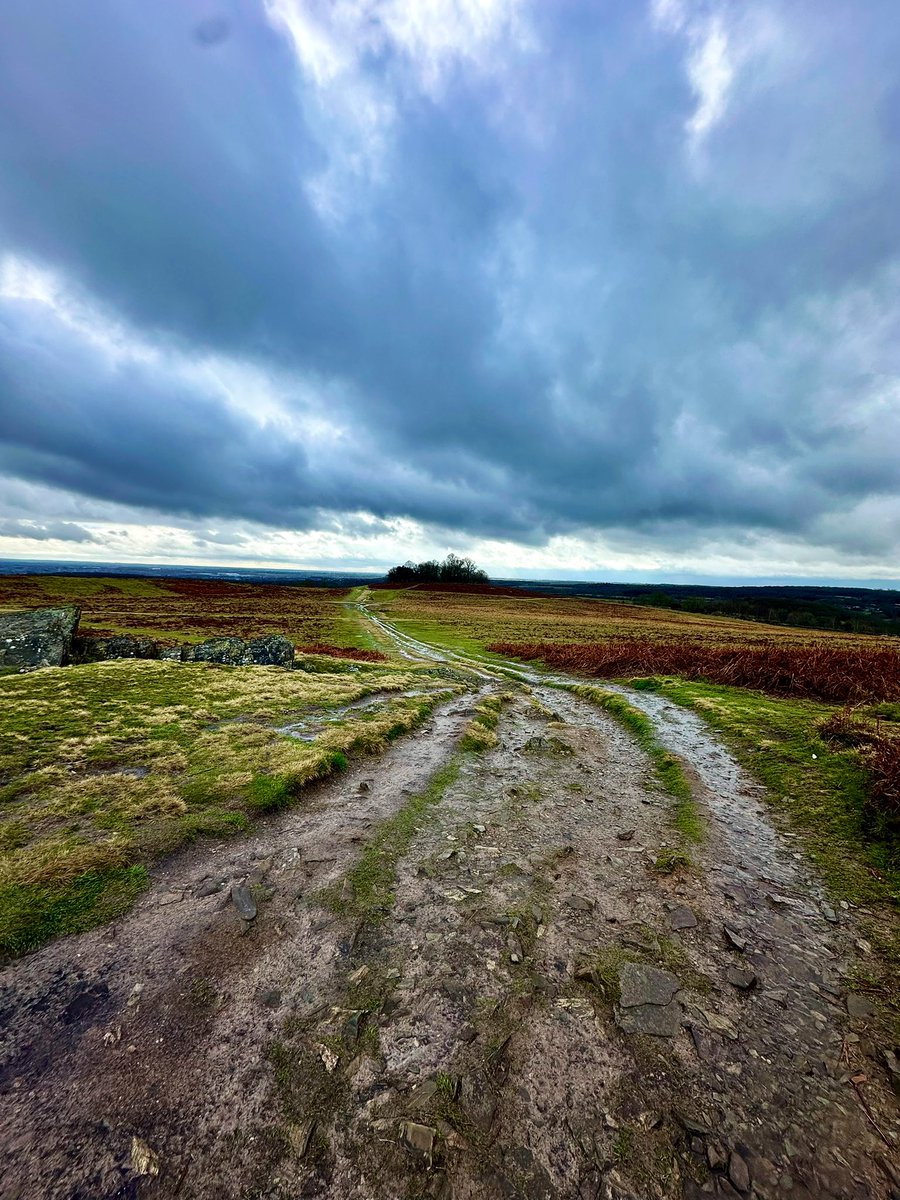 ravbillan's tweet image. #ToInfinityAndBeyond 🏞️
Happiness is ….. this ♥️