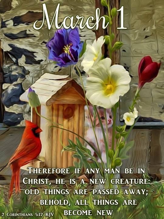 CDMarche's tweet photo. A Blessed March to All!🌺✝️🌹🙃 https://t.co/jyEuwZAegT