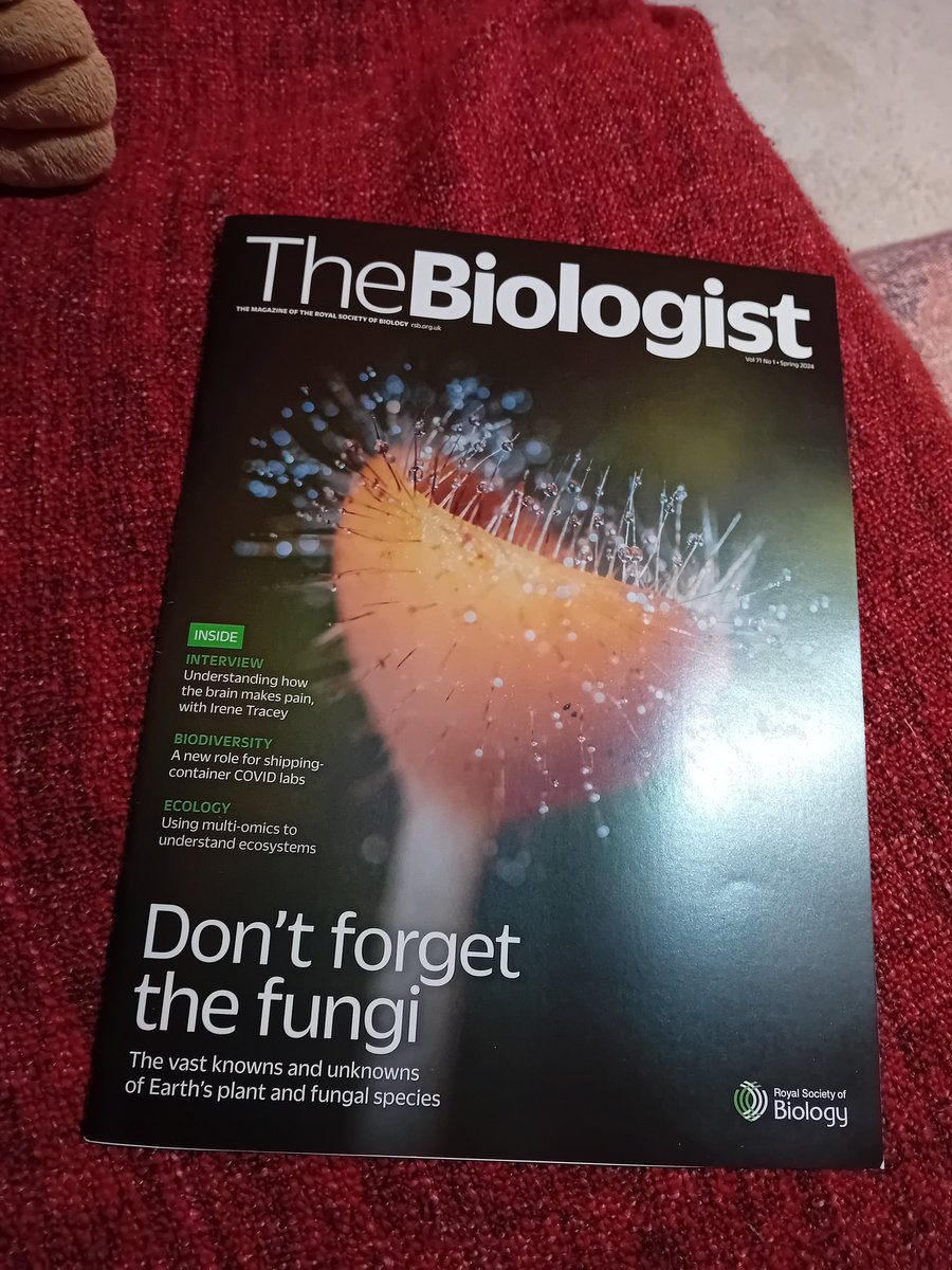 KieranWoof's tweet image. Good to see some fungi love on the latest #TheBiologist  #SOTWPF 🍄
