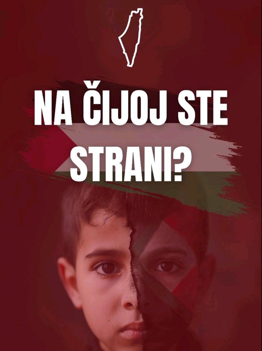 Društvo crnogorsko palestinskog prijateljstva je trenutno jedina svijetla tačka u Crnoj Gori. Svi ti mladi volonteri su heroji našeg doba, svi do jednog. 

Hvala vam što iz dana u dan svijetlite obraz ove države, položili ste test humanosti na kojem su mnogi pali.