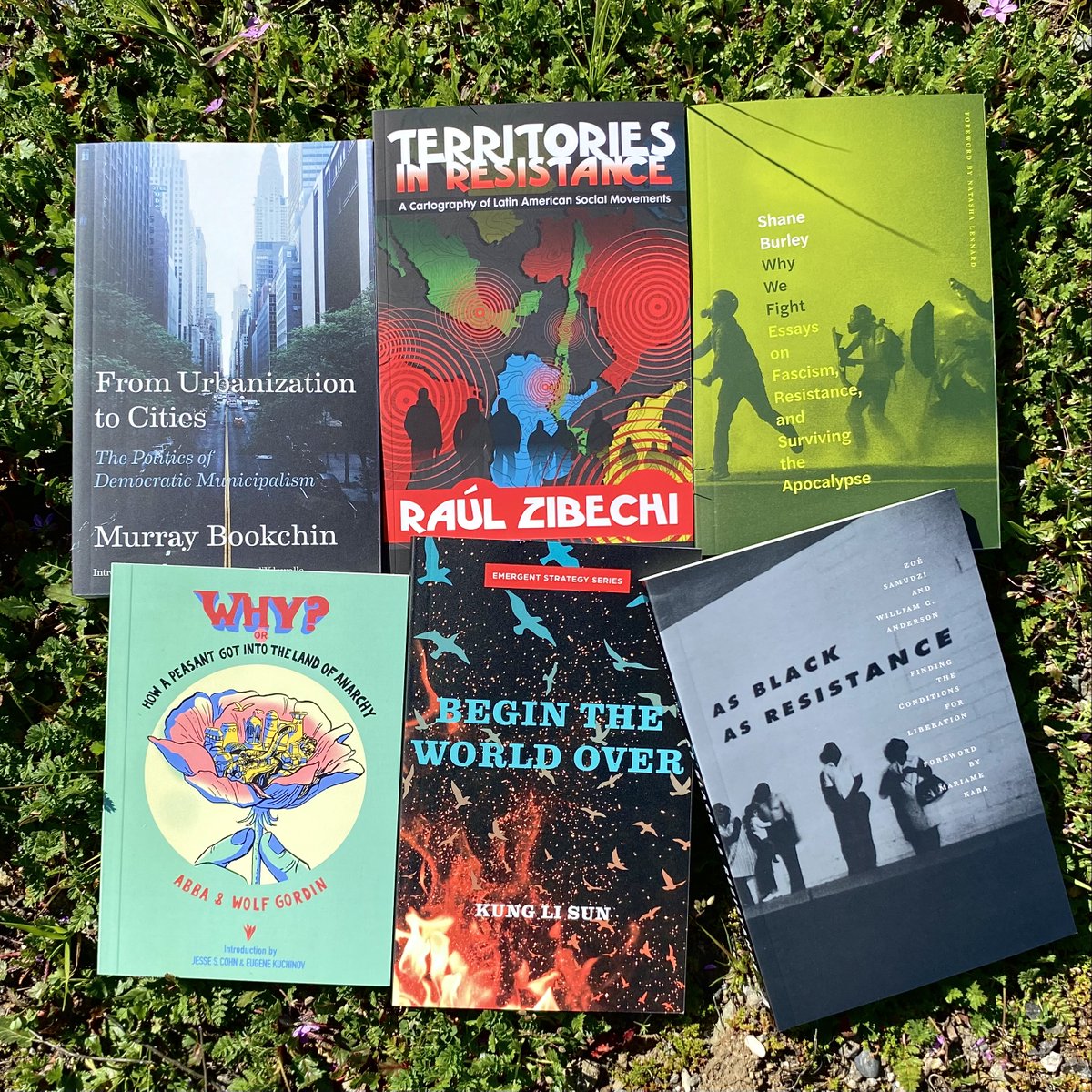 AKPressDistro's tweet photo. This month's featured half-price AK Press titles are... drum roll please... these beauties right here! As always, you can find them at https://t.co/YPmEmyUhZm (scroll down on the front page). #ReadandResist #Revolutionbythebook https://t.co/ZtYONVZqZj
