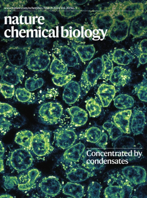 Our March issue is live! nature.com/nchembio/volum… The cover image captured by Henry Kilgore et al. shows that different condensates and cytoplasmic organelles harbor distinct chemical environments that influence the distribution of small molecules