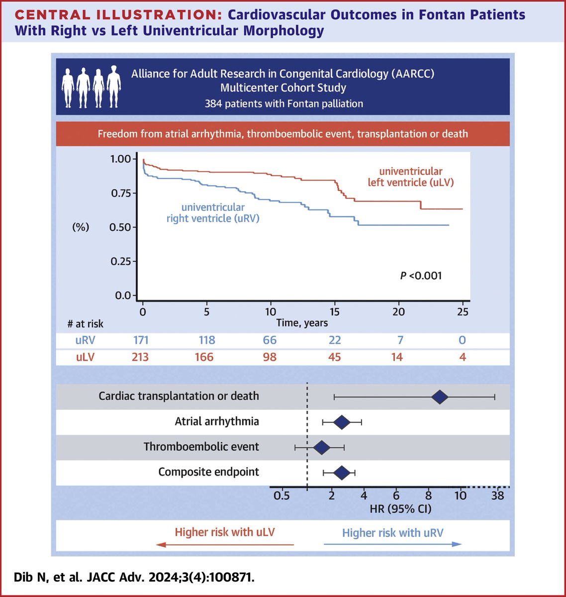 #Fontan patients with univentricular right ventricle vs univentricular left ventricle morphology have a higher incidence of adverse cardiovascular events, including atrial arrhythmia, cardiac transplantation, and all-cause mortality. bit.ly/3UVlrW8 #JACCAdvances