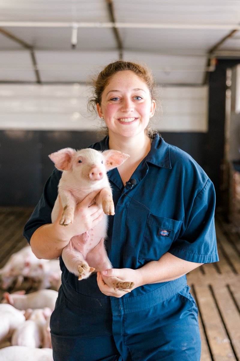 KentuckyPork's tweet photo. Celebrate WORKING IN PORK 👤

There are close to 9,000 people in jobs supported by the Kentucky pork industry. There’s a relevant pork-related job for virtually every skill and aptitude.

Pictured is Tiffany Clark, a Baby Pig Technician, employed by Tosh Farms.

#NationalPigDay https://t.co/1qdLFF8iH7