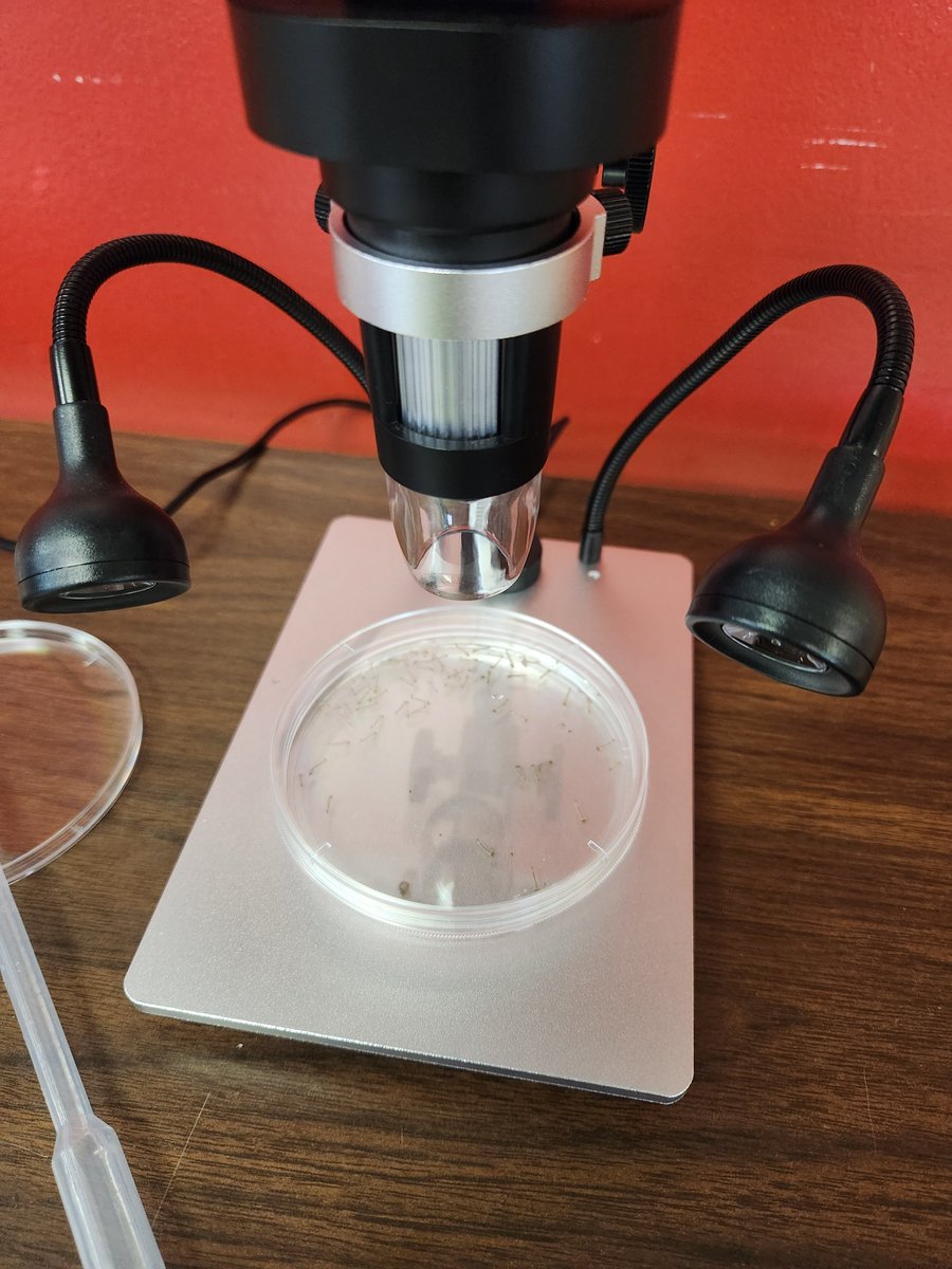 SLC_Mosquito's tweet photo. We had so much fun at @ManaAcademy yesterday talking about mosquitoes! 🦟

#educationprograms #mosquitoes #STEM https://t.co/iCv384VBDo